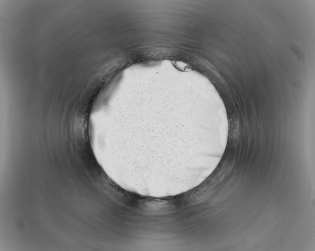 X0000113000669200909241302