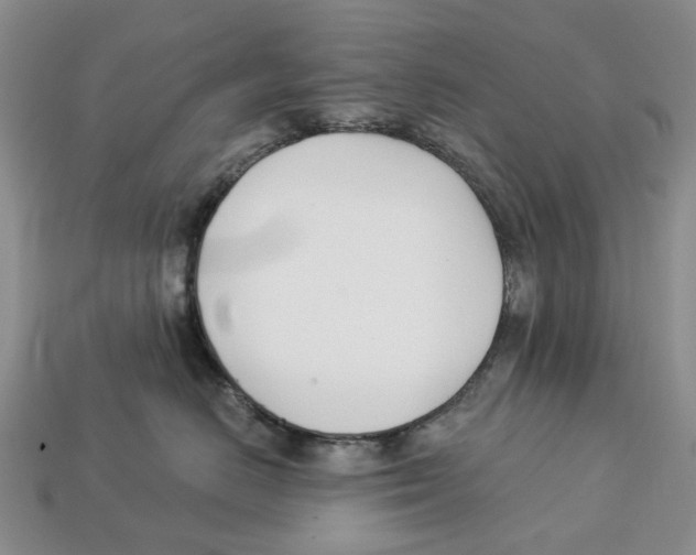 X0000113000670200909241302