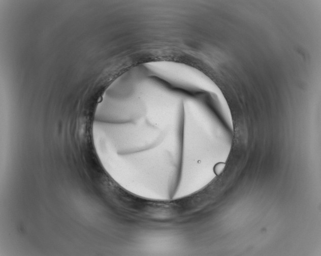 X0000113000671200909241302