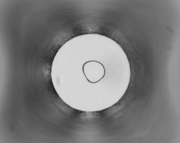 X0000113000672200909241302