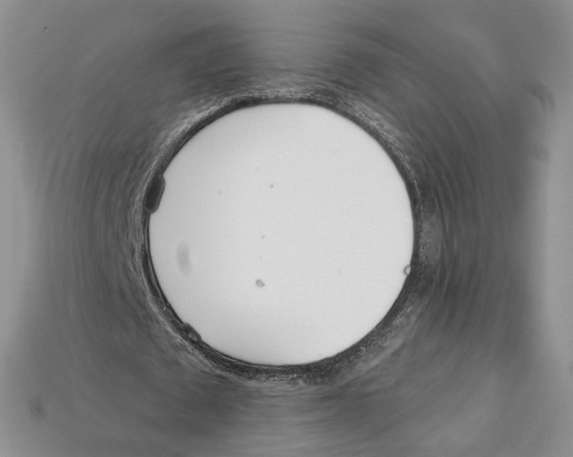 X0000113000673200909241302