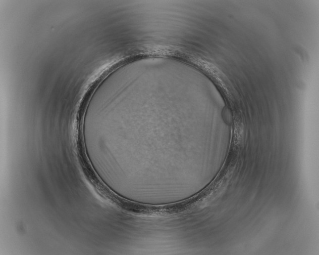 X0000113000674200909241302