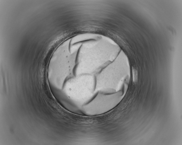 X0000113000675200909241302