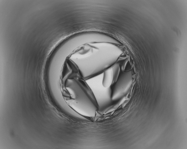 X0000113000676200909241302