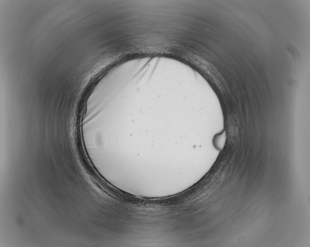 X0000113000677200909241302