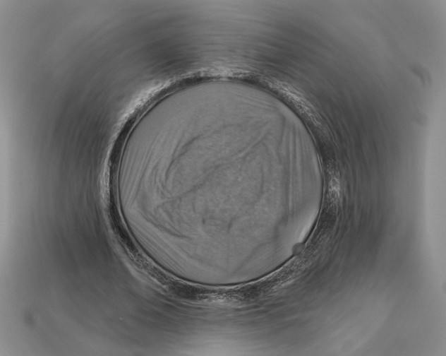 X0000113000678200909241302