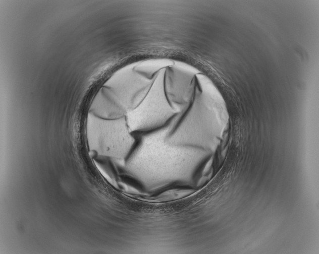 X0000113000679200909241302