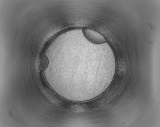 X0000113000680200909241302