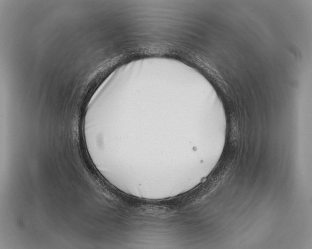 X0000113000681200909241302