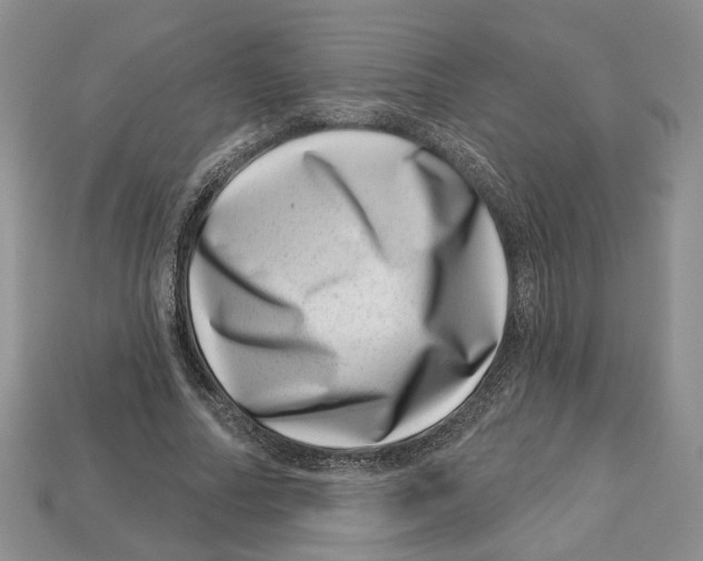 X0000113000682200909241302