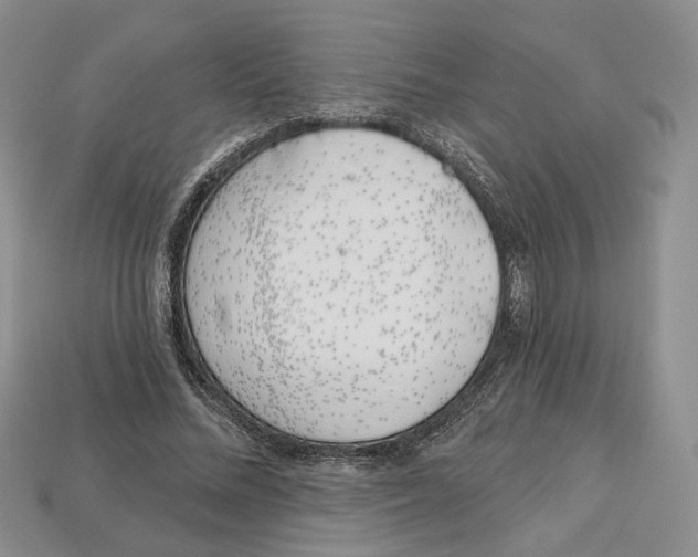 X0000113000684200909241302