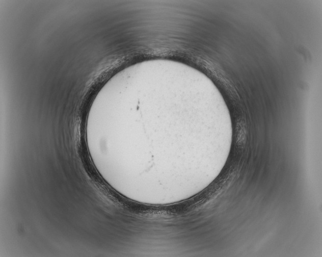 X0000113000685200909241302