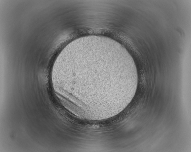 X0000113000687200909241302