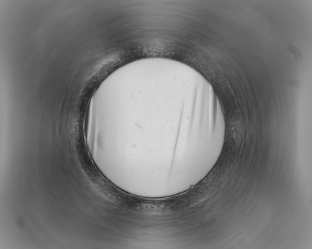 X0000113000690200909241302