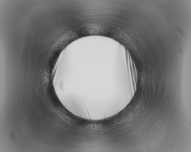 X0000113000691200909241302