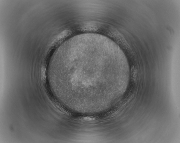 X0000113000692200909241302