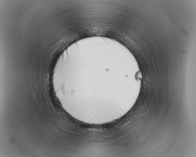 X0000113000693200909241301