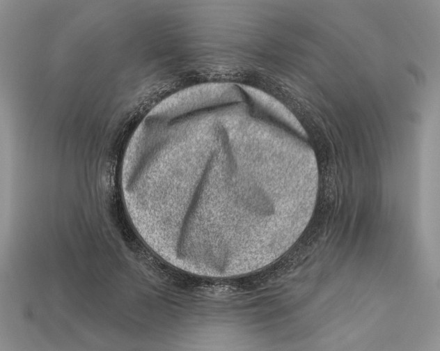 X0000113000695200909241301