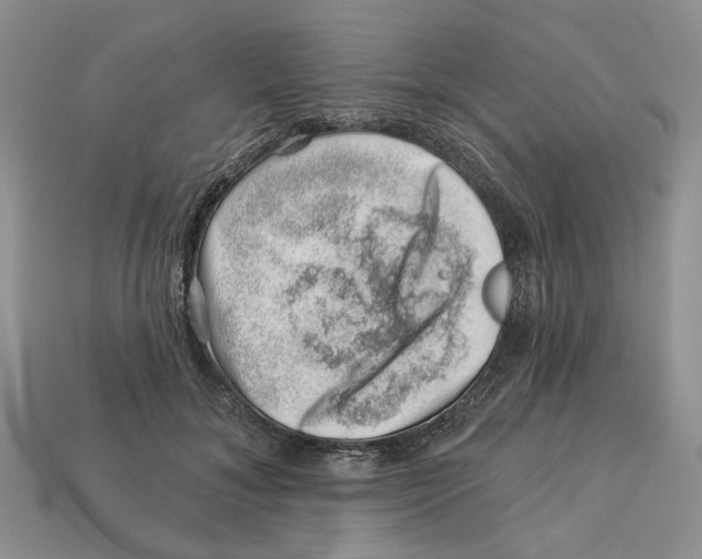 X0000113000700200909241301