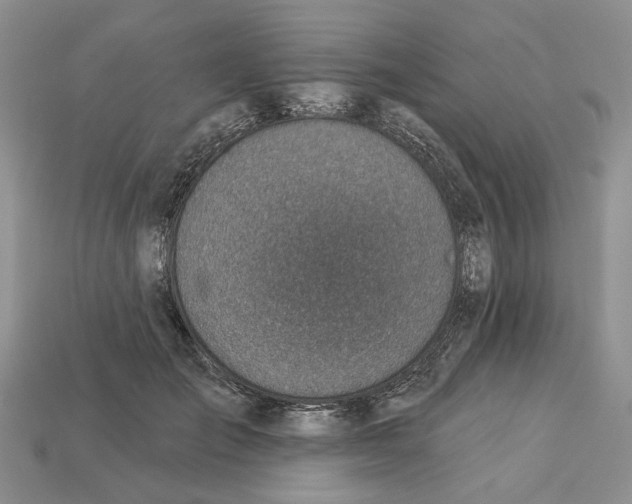 X0000113000701200909241301