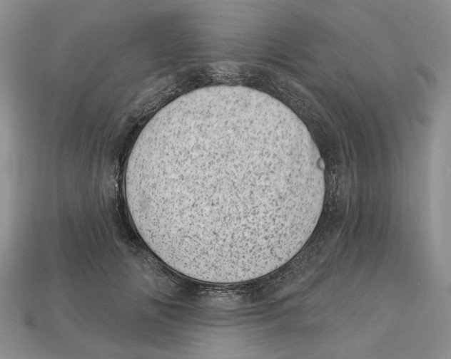 X0000113000702200909241301