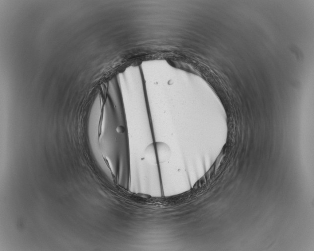 X0000113000704200909241301