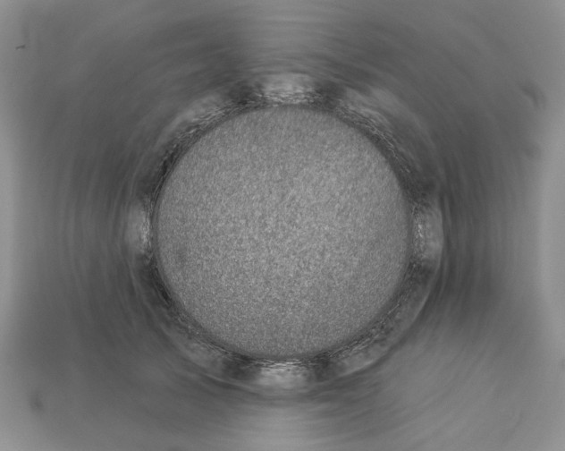 X0000113000705200909241301