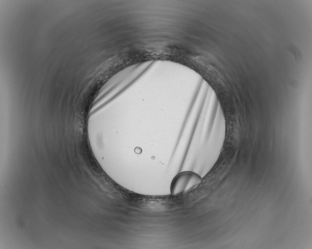 X0000113000710200909241301