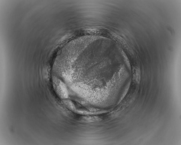 X0000113000712200909241301