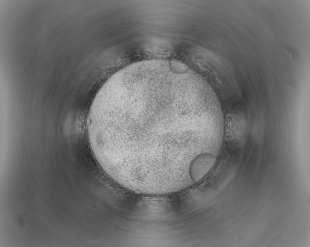 X0000113000713200909241301