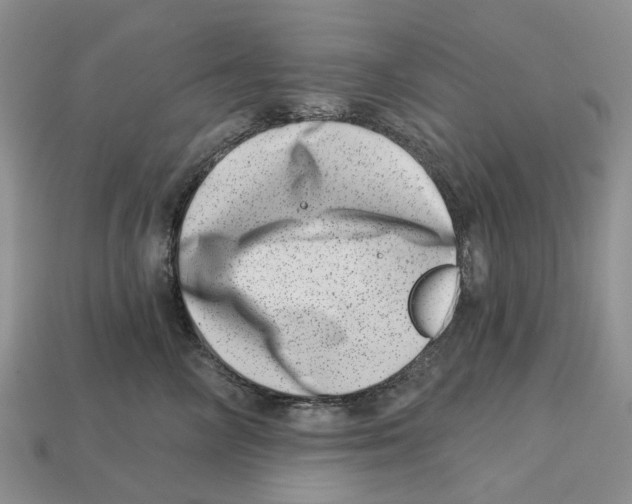 X0000113000714200909241301