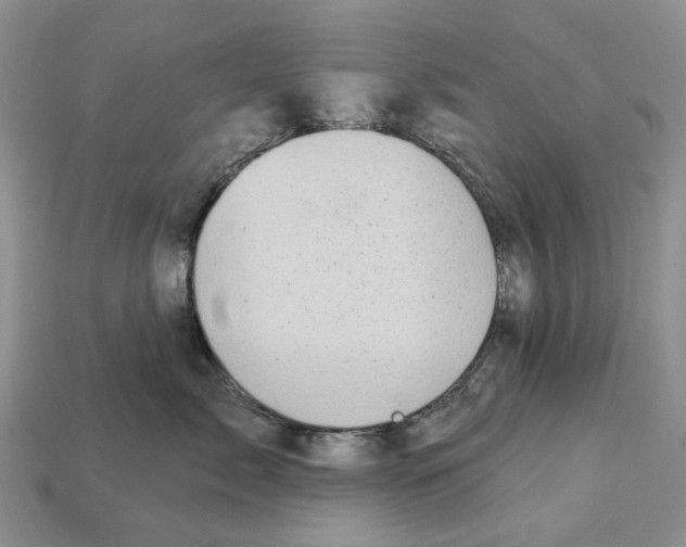 X0000113000717200909241301