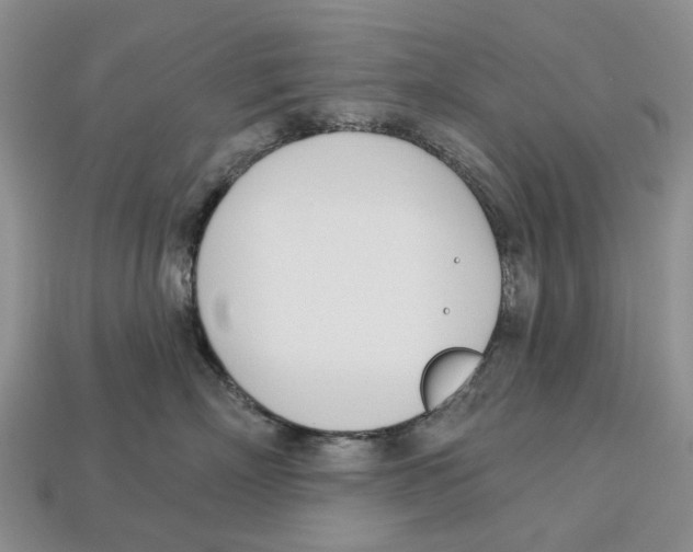 X0000113000718200909241301