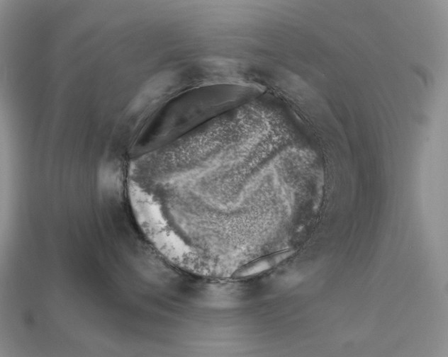 X0000113000720200909241301