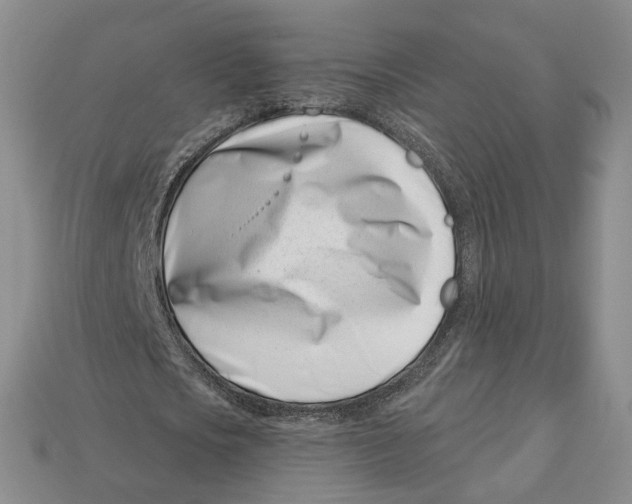 X0000113000721200909241301