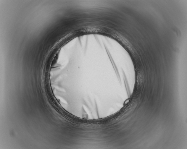 X0000113000722200909241301