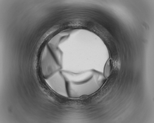 X0000113000724200909241301