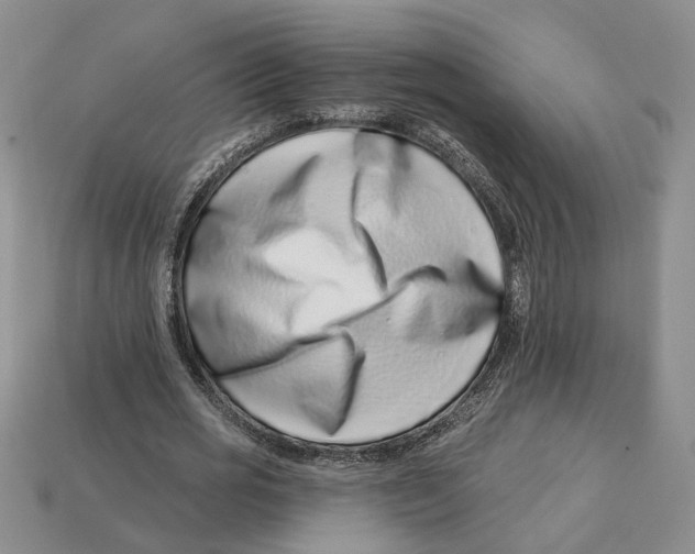 X0000113000725200909241301