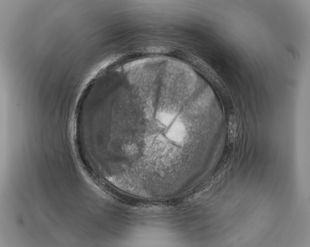 X0000113000726200909241301