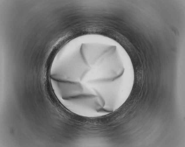 X0000113000727200909241301