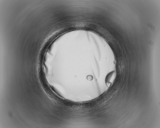 X0000113000728200909241301