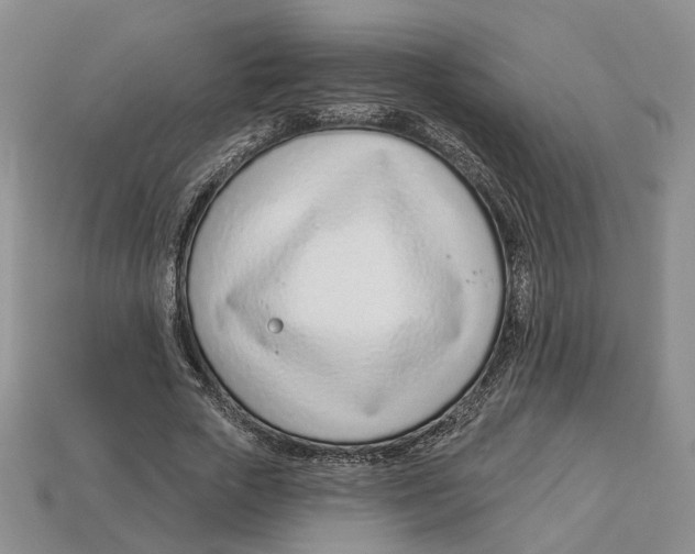 X0000113000729200909241301