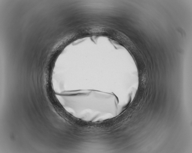 X0000113000732200909241301