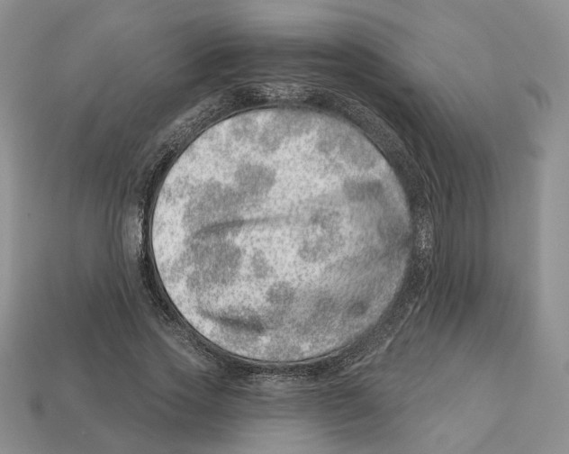 X0000113000733200909241301