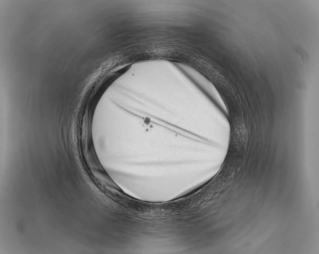 X0000113000734200909241301