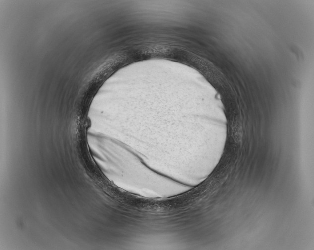 X0000113000735200909241301