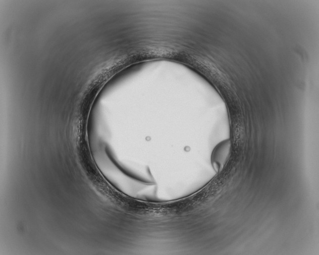 X0000113000736200909241301