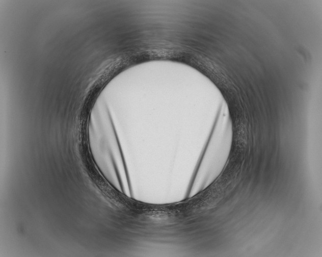 X0000113000738200909241301