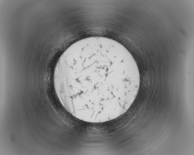 X0000113000739200909241301