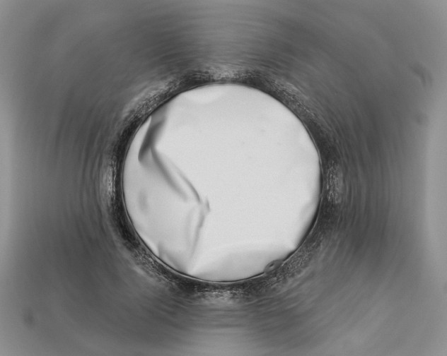 X0000113000740200909241301